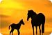 Rikki Knight Horse On Orange Sunset Large Tempered Glass Cutting Board Workspace Saver - Measures 15.74in x 11.8in