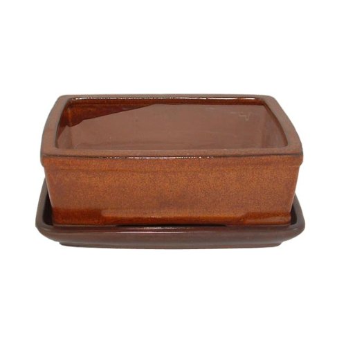 21cm Brown Glazed Bonsai Pot and Tray Set