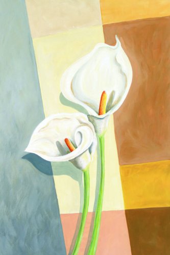 Solo Goya 71350 - Keilrahmen mit durchschreibende Malvorlage Die Calla 40 x 60 cm Preisvergleich