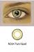 Having Fun With Colored Contact Lenses 415%2B%2BEHO7LL. SL75 Having Fun With Colored Contact Lenses