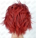 �����ץ쥦���å� Fate /Zero Fate/Stay night  �饤������Rider�� �Ҥ���