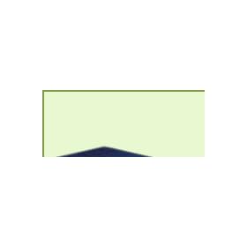 Bailey Vestibular Board