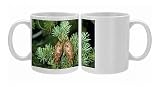 JLM-6177 Douglas Fir - cones Photo Mugs