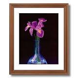 Purple Iris Flower Vase Contemporary Home Decor Wall Picture Oak Framed Art Print