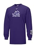 TCU Horned Frogs Nike Logo Long Sleeve Tee