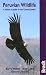Peruvian Wildlife: A Visitor's Guide to the Central Andes (Bradt Guides)