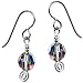 Titanium Crystal Vitrail Earrings MADE WITH SWAROVSKI ELEMENTS