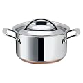 Raymond Blanc by Anolon Stainless Steel Covered Saucepot Casserole, 20 cm, 3.4 Litre