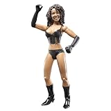 Review Vivid Imaginations  / WWE Adrenaline Twin Pack - The Miz & Layla