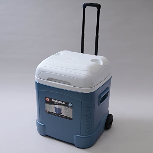 igloo ice cube cooler 70 qt
