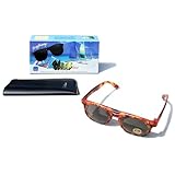 Wayfarer Dial-A-Vision Sunglasses