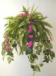Large Mixed Hanging Baskets