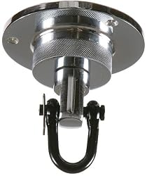 TITLE Boxing Platinum Pro Swivel