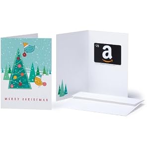 415 EubDTWL. AA300  An Amazon Gift Card Is The Perfect Gift