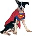 Superman Dog Costume