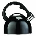Premier Housewares 2.5 Litre Stainless Steel Whistling Kettle with Induction Base, 22 x 23 x 20 cm, Black