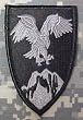Afghanistan Combined Forces Command