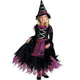 Fairytale Witch Toddler Costume