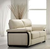 Elegance-Canape 2 Places En Cuir Beige