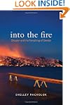 Into the Fire: Disaster and the Remak...