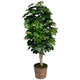 4 Realistic Umbrella Tree w/Planter - 827679