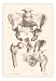 Sacroiliac Bones Art Poster Print, 13x18