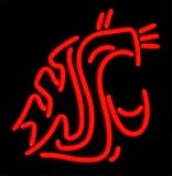 Washington State Cougars Neon Sign