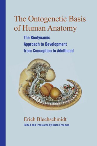 The Ontogenetic Basic of Human Anatomy: The Biodynamic Approach to Development from Conception to Adulthood