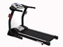 Branx Fitness 22Kph - 6.5Hp - 0-22% Auto incline - Mega Spec - Foldable 'Elite Runner Pro' Treadmill. With H.R.C - Free training mat - Weights & 5 years labour!
