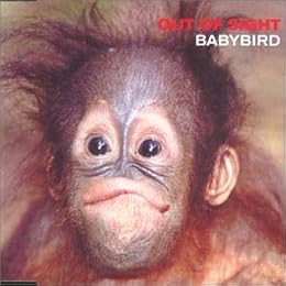 Babybird Picture 3