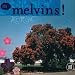 Melvins albums that I own and love