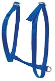 Cat Harness Blue