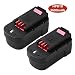 VANTTECH 2Pack 4.8Ah Ni-MH HPB18 Replacement Battery for Black+Decker 18V CE Certified Compatible with FS18FL A1718 Professional Power Tool Accessory