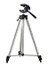 Simmons Field Tripod