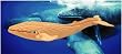 Blue Whale 3D Woodcraft Construction Kit