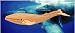 Blue Whale 3D Woodcraft Construction Kit