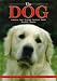 The Dog: Selection, Care, Training, Nutrition, Health, Breeding, and Showing