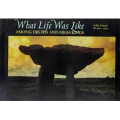 What Life Was Like Among Druids And High Kings (Celtic Ireland AD 400-1200)