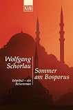 Sommer am Bosporus: Istanbul - ein Reiseroman - Wolfgang Schorlau