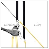 I Fly