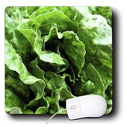 Florene Food And Beverage - Lettuce Be - Mouse Pads