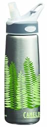 CamelBak Stainless Better Bottle (.75 Litre/24 -Ounce)
