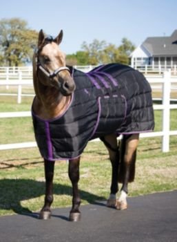 Pro Equine Relentless 420D Stable Blanket 76In Bla