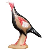 McKenzie  Educational Series Turkey Target