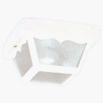 Westinghouse #66823 2 Light Plastic Ceiling Fixture by WESTINGHOUSE LIGHTING CORP