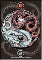Dragons - Yin Yang Guardians