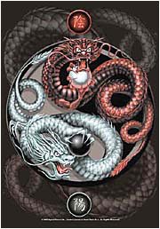 Dragons - Yin Yang Guardians