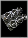 New Stainless Steel Spice Rack with 6 Magnetic Jars