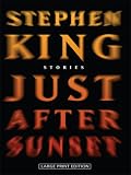 Just After Sunset (Thorndike Press Large Print Basic Series)