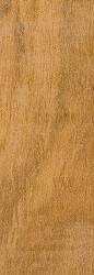Teak Sample Standard collectors size 1/2'' x 3'' x 6''
